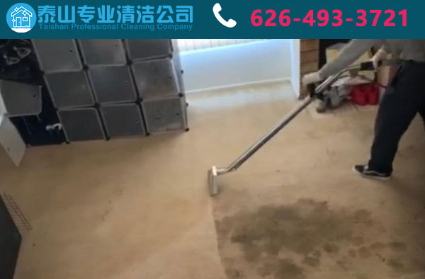 地毯清洁实拍